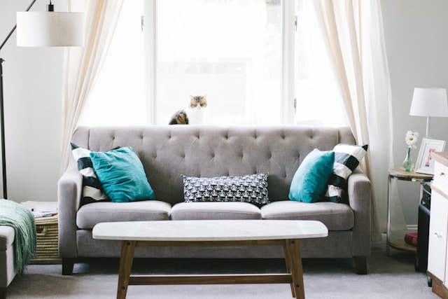 grey rug in a living room