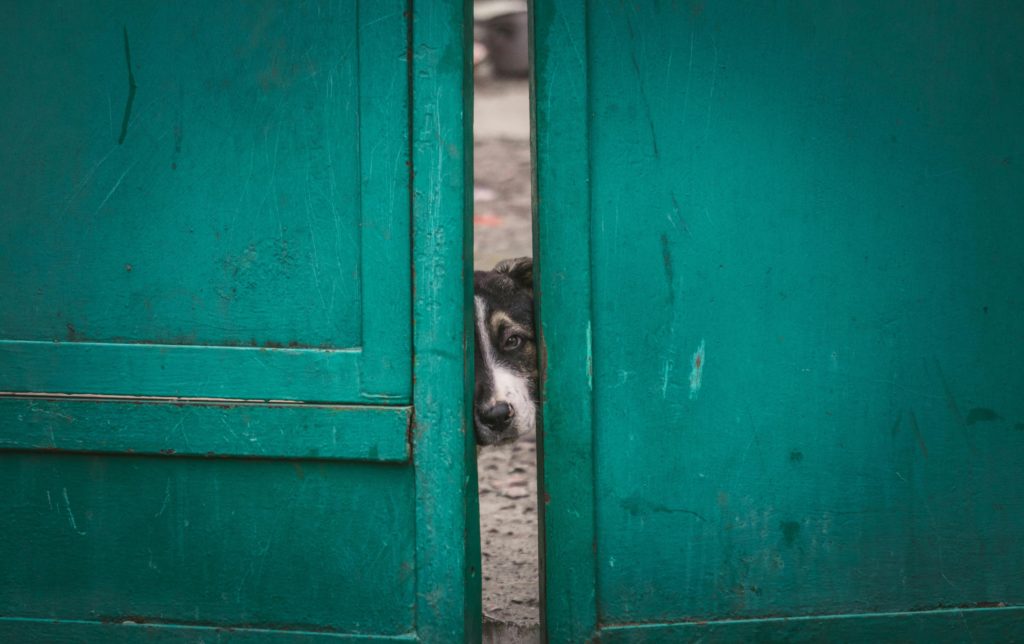 gap in door