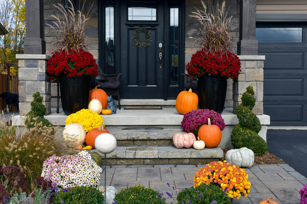 Colourful pumpkins, gourds and mums create a luxury halloween and thanksgiving landscaping decor.
