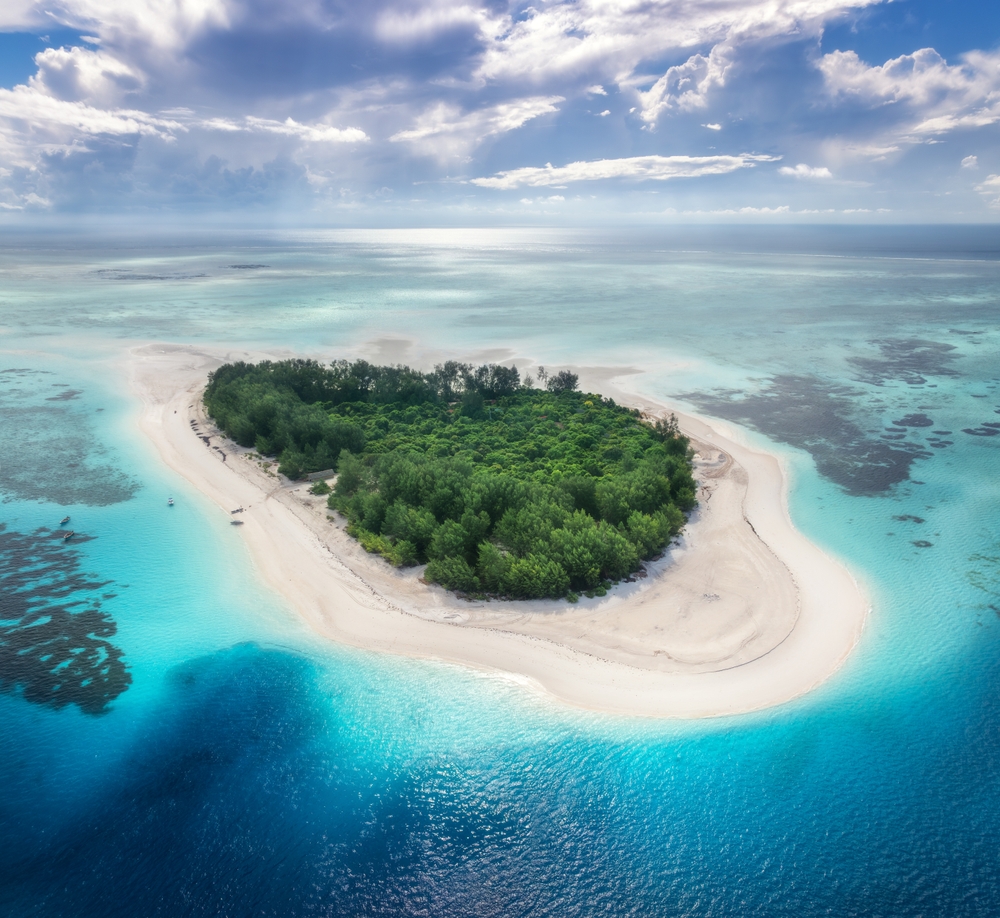 Aerial view of blue sea and amazing Mnemba island, Zanzibar. Top view of white sandy beach, green trees, palms, ocean with clear azure water on summer sunny day. Tropical landscape. Exotic. Travel