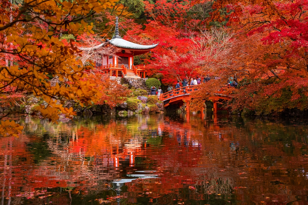 Japan - November 12, 2023 : Tourists enjoy sightseeing colorful maple trees in the garden of Daigoji Temple in autumn with Bentendo Hall background, Kyoto