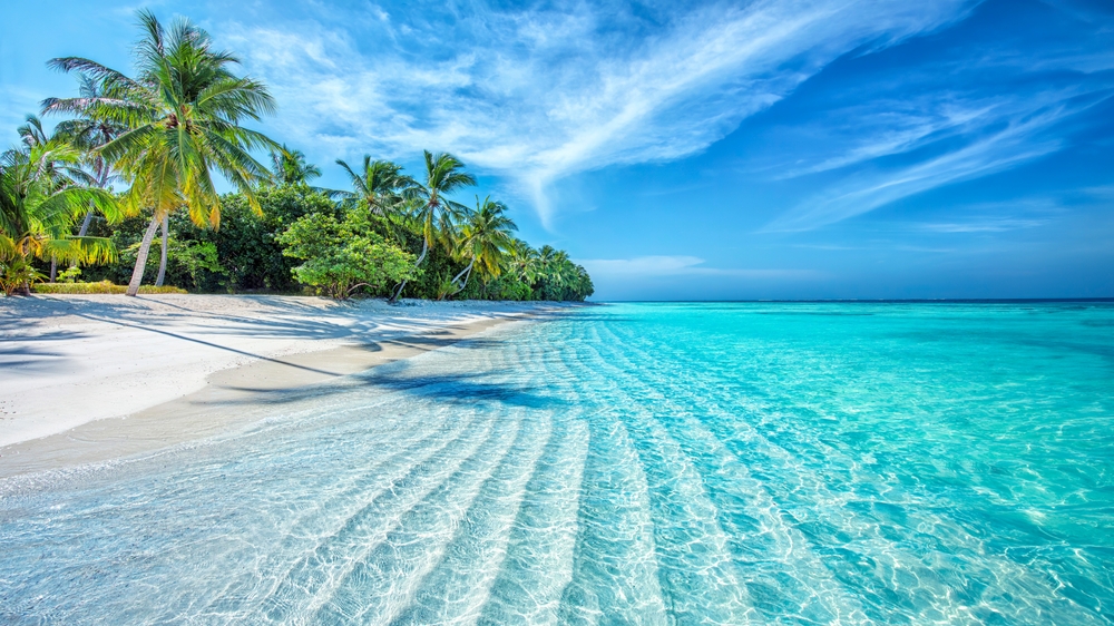 Tranquil closeup calm sea water waves with palm trees. Beautiful Panorama, Tropical island beach landscape exotic shore coast. Summer vacation, holiday amazing nature. Relax paradise, Maldives.