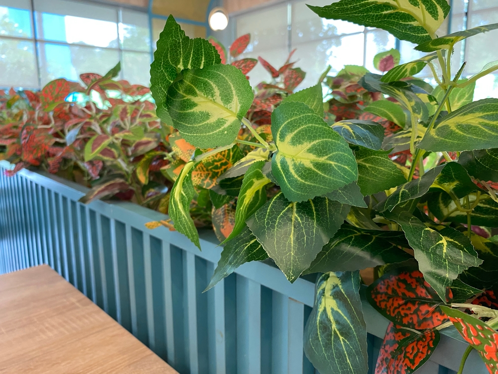 Vibrant Green Foliage.Lush green plants in a modern planter box, adding a touch of nature to an interior space.
