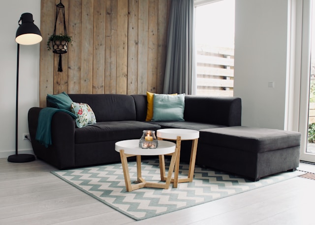 living room with cohesive colors