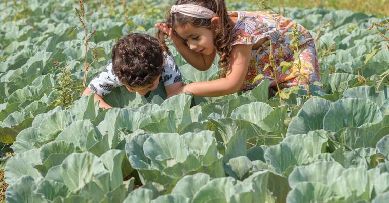 Amsterdam Schools Are Teaching Kids to Grow Their Own Plants - Featured image