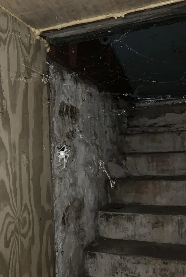 The Creepy Figure in the Basement