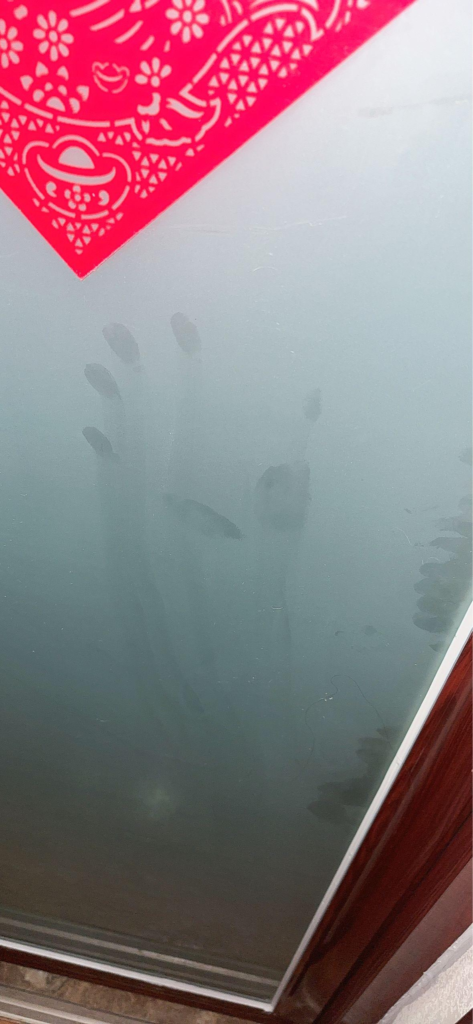 The Handprint on the Mirror