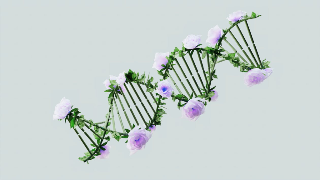 Mitochondrial DNA and Mitochondrial Diseases