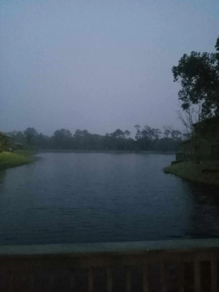 The Eerie Reflection in the Pond