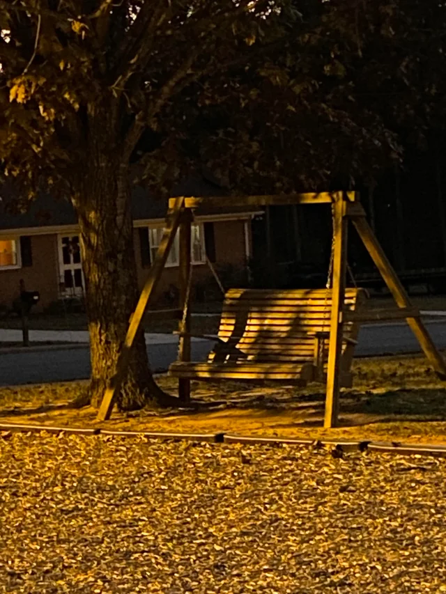 The Eerie Playground at Dusk