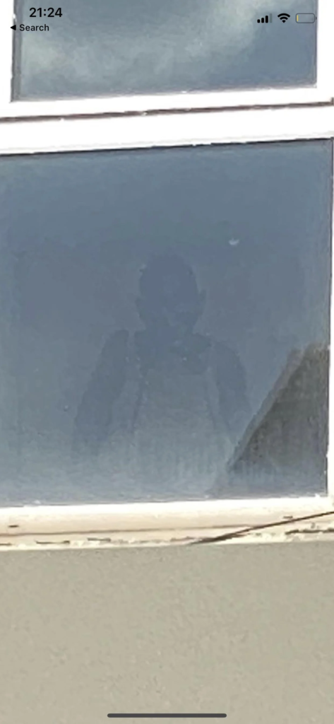 The Mysterious Figure in the Window