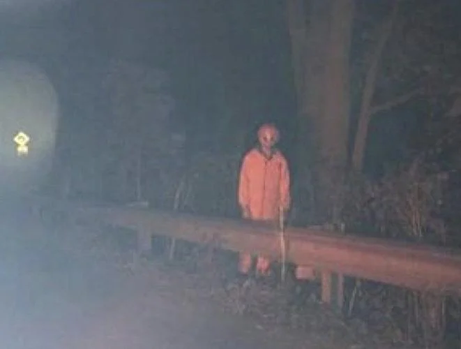 The Clown in the Woods