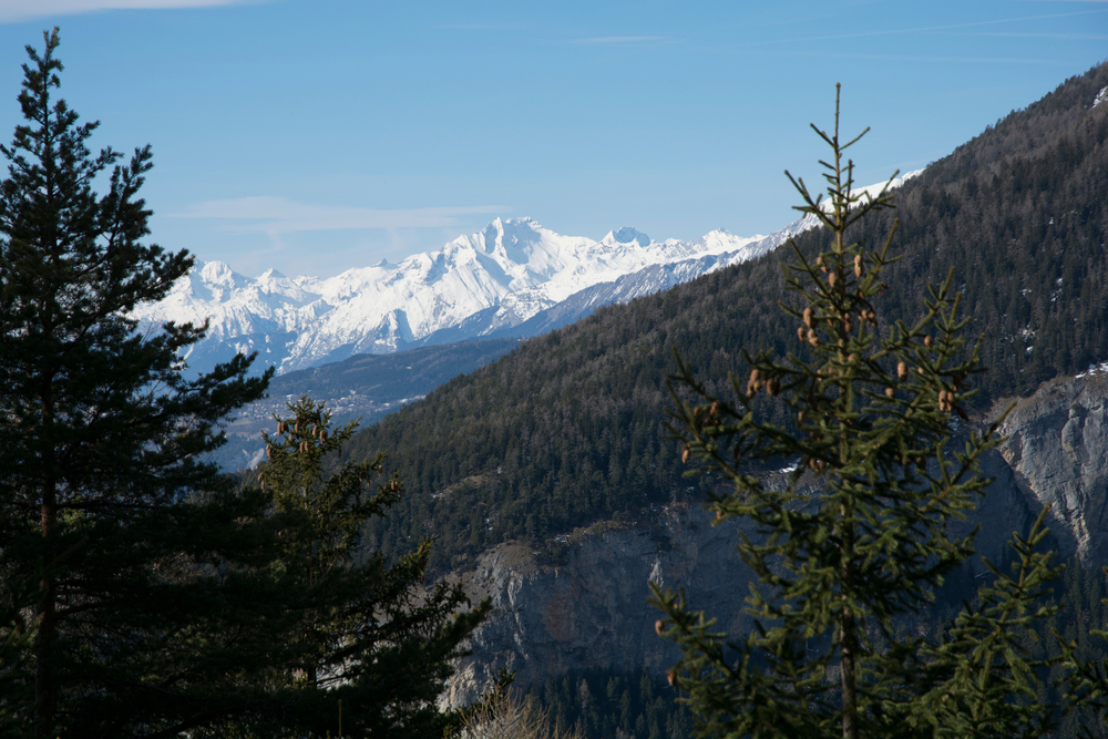 Forest and mountains in Albinen (Switzerland)