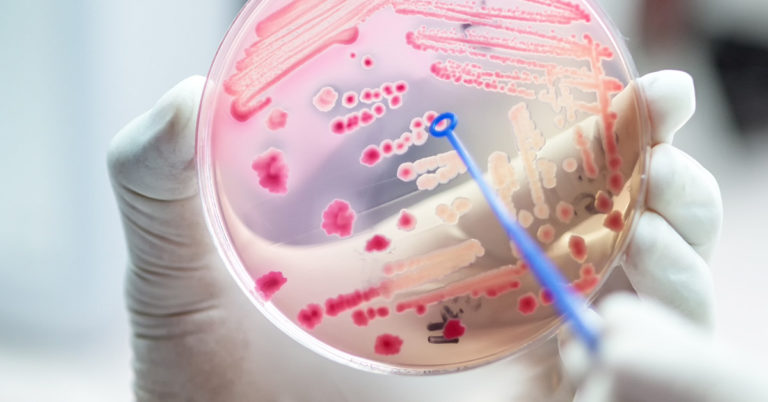 Heartbreaking Death of 4-Year-Old Boy After Complaining of Pain ‘Under My Arm’ - Featured image