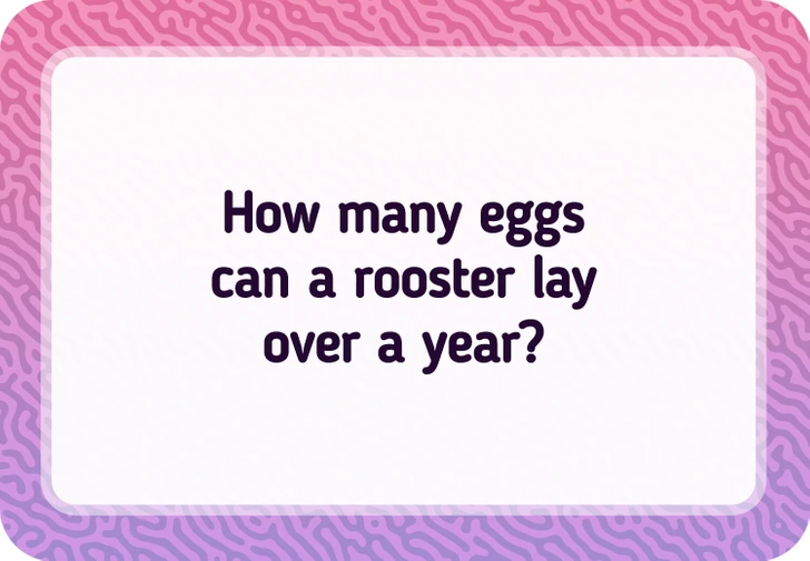 How Many Eggs Can a Rooster Lay Over a Year?