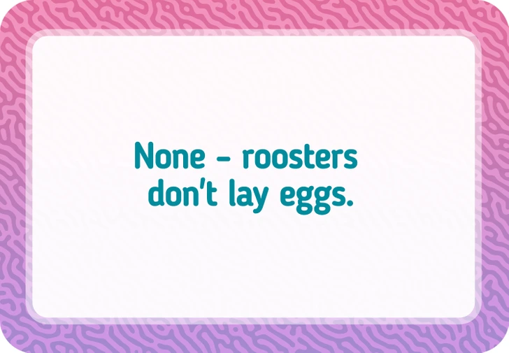 How Many Eggs Can a Rooster Lay Over a Year?