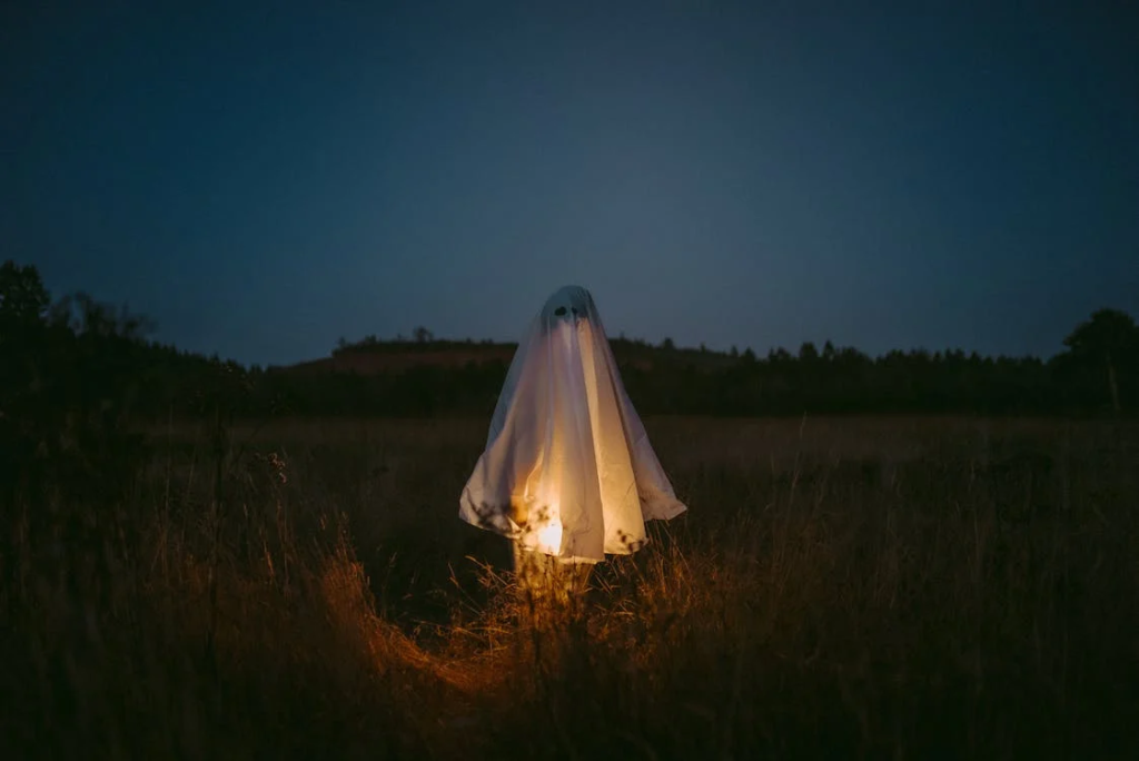 person in ghost outfit in field