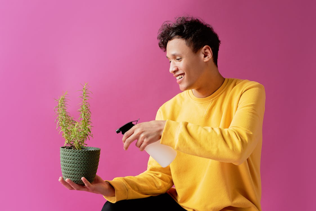 A man in a yellow sweater smiles while misting a small potted plant with a spray bottle, showcasing his care and attention to the plant's needs against a vibrant pink background.