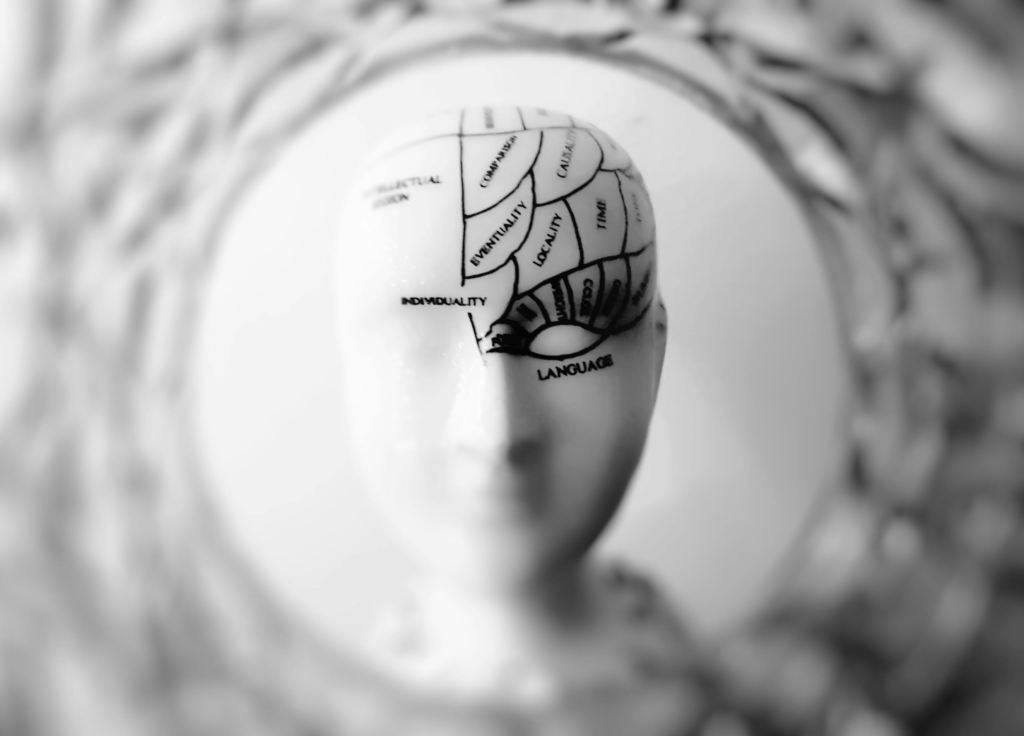 A close-up black and white photograph of a phrenology model showing a side view of a human head with labeled brain sections. Various regions are marked with terms including 'Individuality,' 'Language,' and 'Locality.' The image has a shallow depth of field with the labeled brain map in focus against a blurred background.