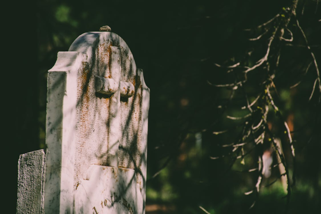 Selective Focus Photography of Tombstone