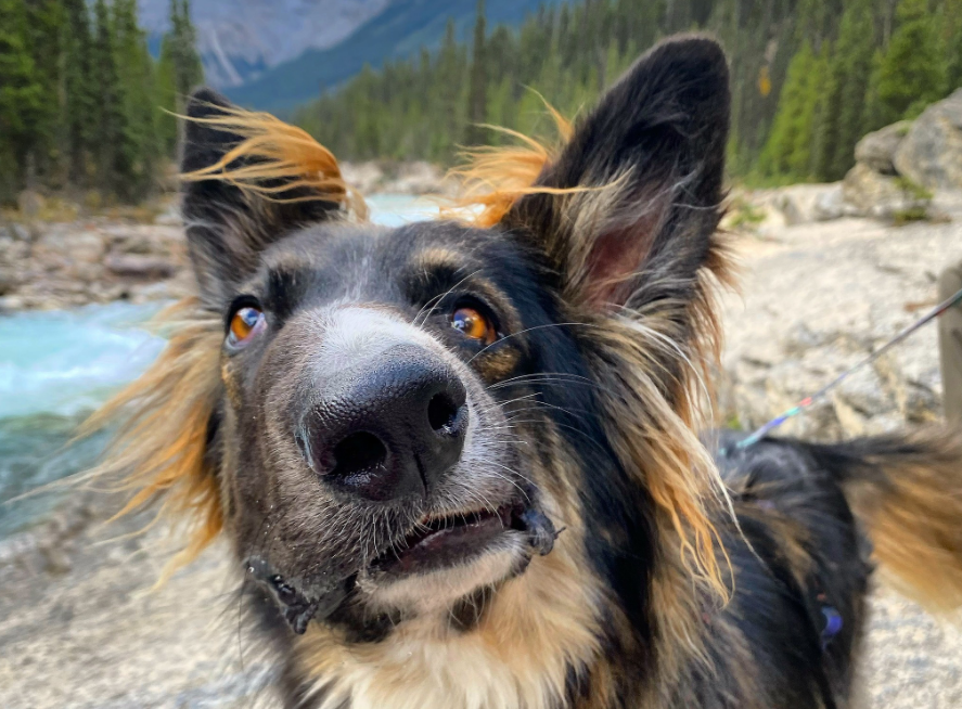 Through social media, Amanda continues to share Brodie’s story