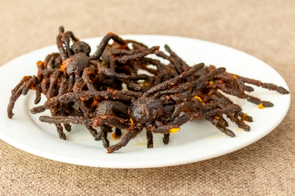 Wild spider fried on a white plate in Cambodia - Khmer street food