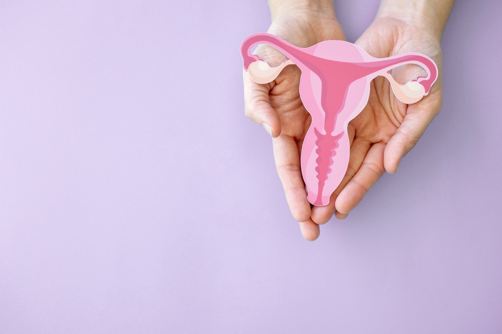 Hands holding uterus, female reproductive system , woman health, PCOS, gynecologic and cervical cancer concept