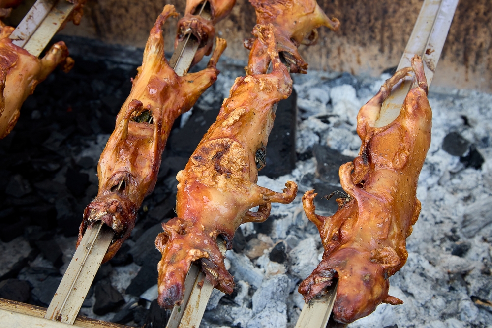 A true taste of tradition in Cusco.Roasted guinea pig, or 'cuy,' is more than just a dish—it's a culinary experience steeped in history.