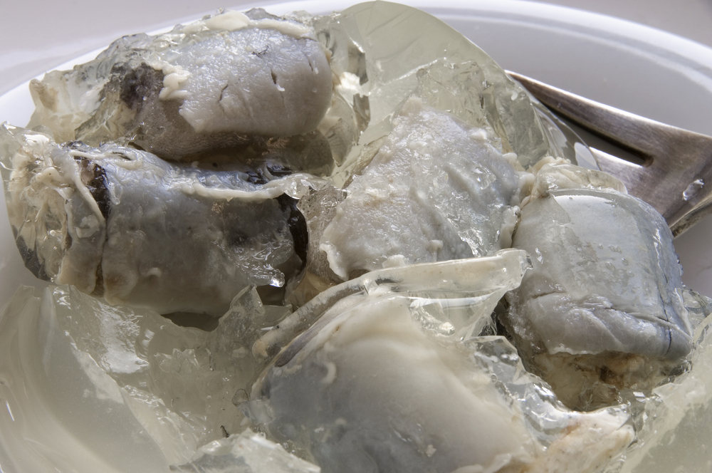 Macro close-up of jellied eels, traditional snack of cockney East End Londoners.
