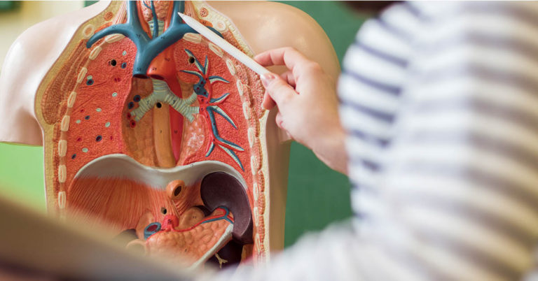 30+ wild facts people learned about the female body and needed to share - Featured image