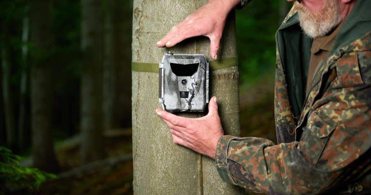 Hunter sets a trail camera on a tree in the forest. Trail cameras are often used by hunters for automatic photography or video shooting of wildlife in the forest.