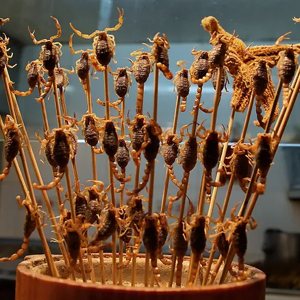 Fried scorpions are a popular street food snack in parts of China.