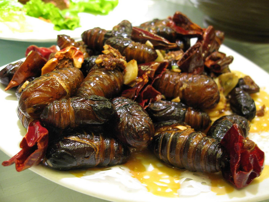 Silkworm pupae are typically boiled or fried and enjoyed for their nutty flavor.