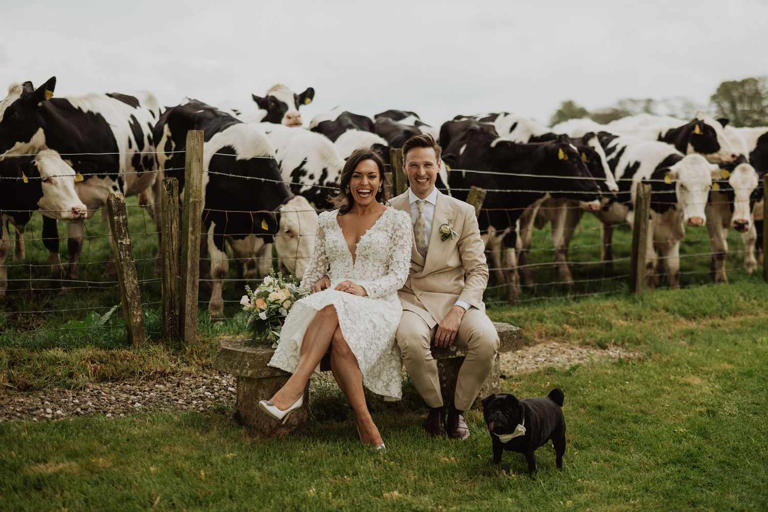 Francesca and Max's wedding crashed by cattle