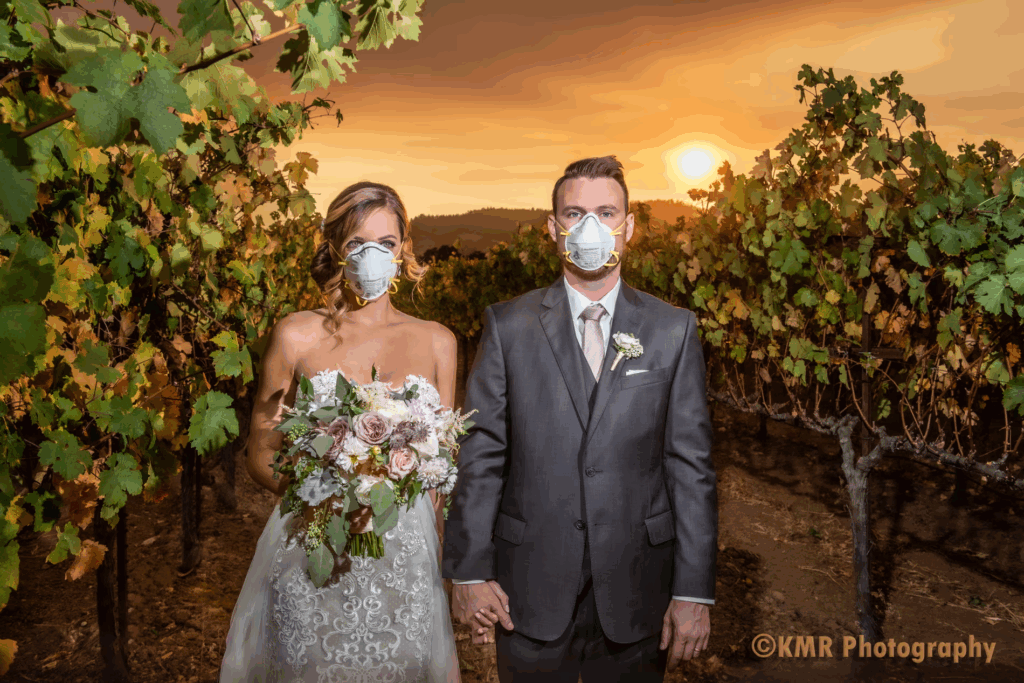 Katie and Curtis Ferland’s wedding photo in Sonoma county.