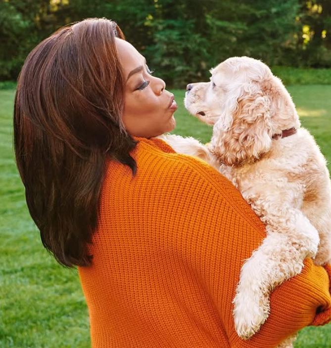 Oprah Winfrey’s love for her dogs—Sadie, Sunny, and Lauren—is no secret