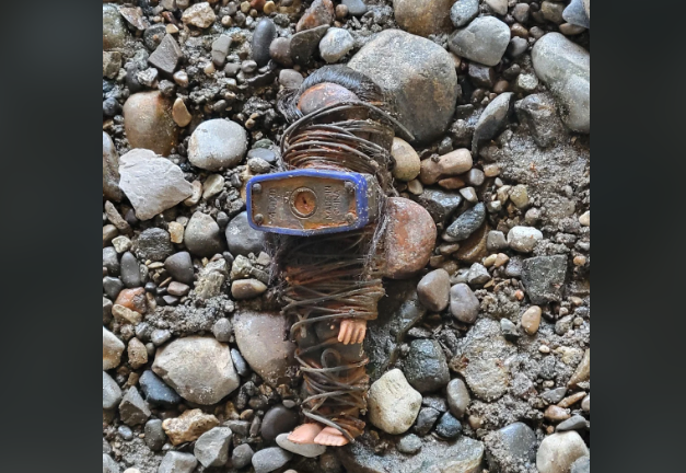 Found This Small Doll(?) Tied up and Locked While Hiking in Toronto