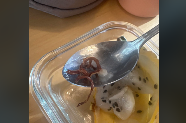 What The Heck is in my Dragonfruit?