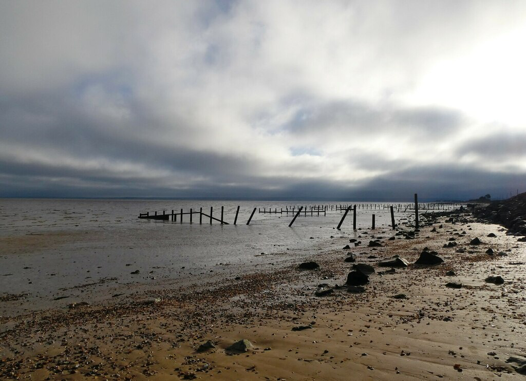Shellness Beach on the Isle of Sheppey in Kent under moody skies, showing a desolate shoreline with weathered wooden posts protruding from the sand at low tide. The beach has been a designated nudist area since the 1970s.
