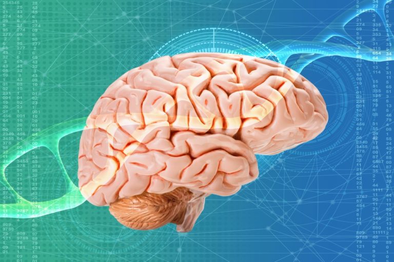 What Really Happens to Your Body in the Minutes After You Die - Featured image