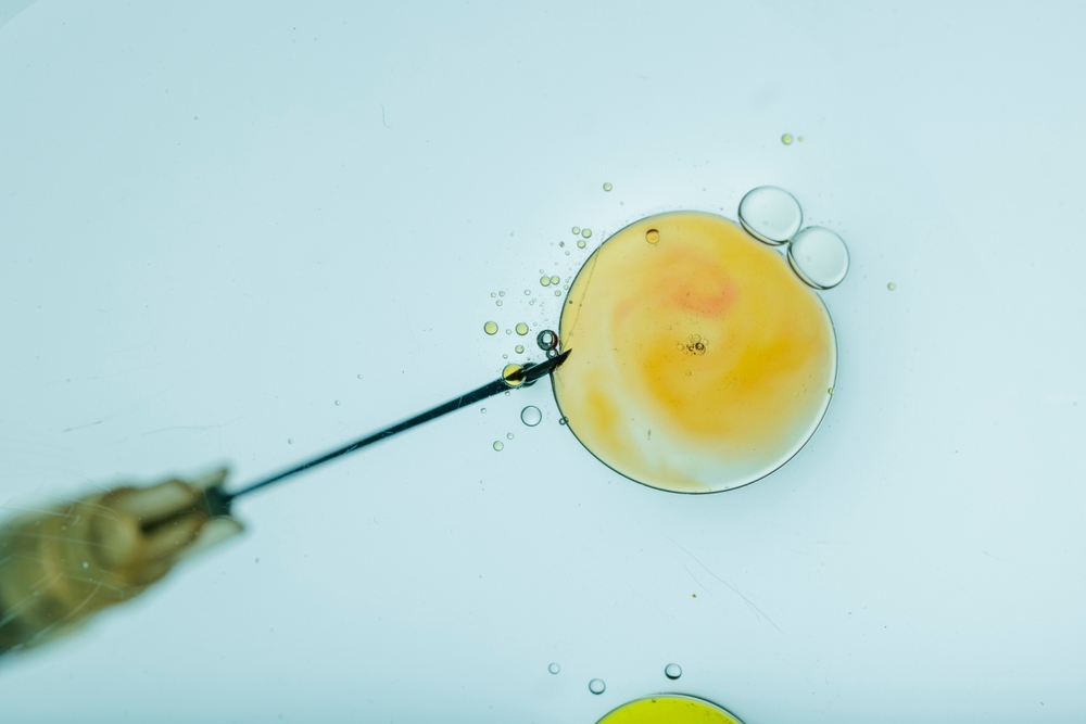 Close-up of IVF procedure with needle injecting into egg under microscope, highlighting the in vitro fertilization process.