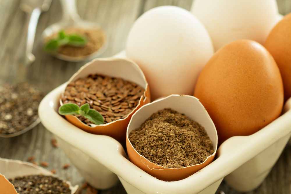 Chia seeds and flaxseed egg replacers placed in egg shells