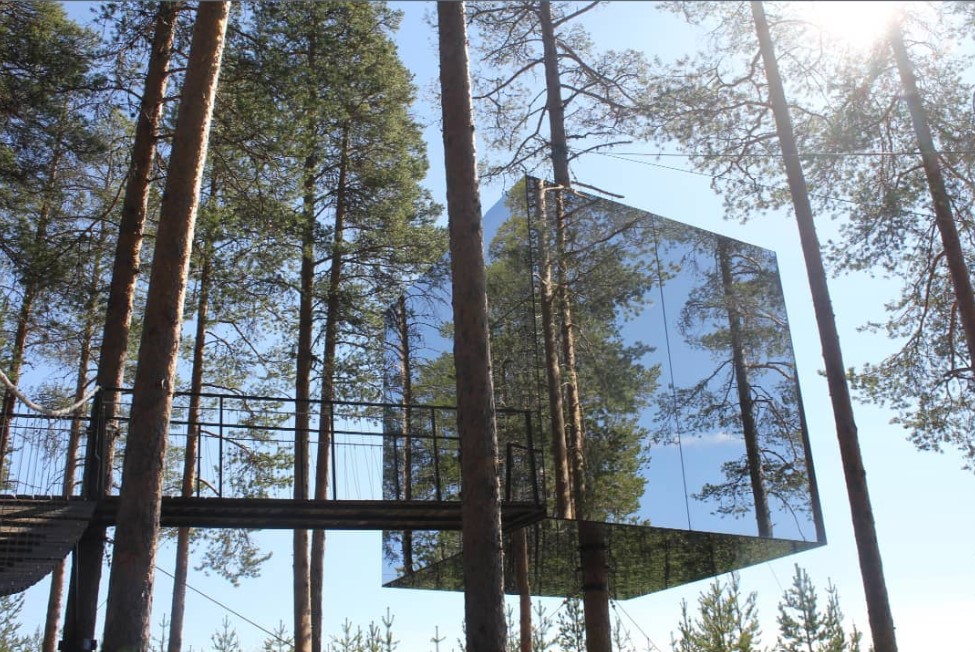 mirrored cube in forest