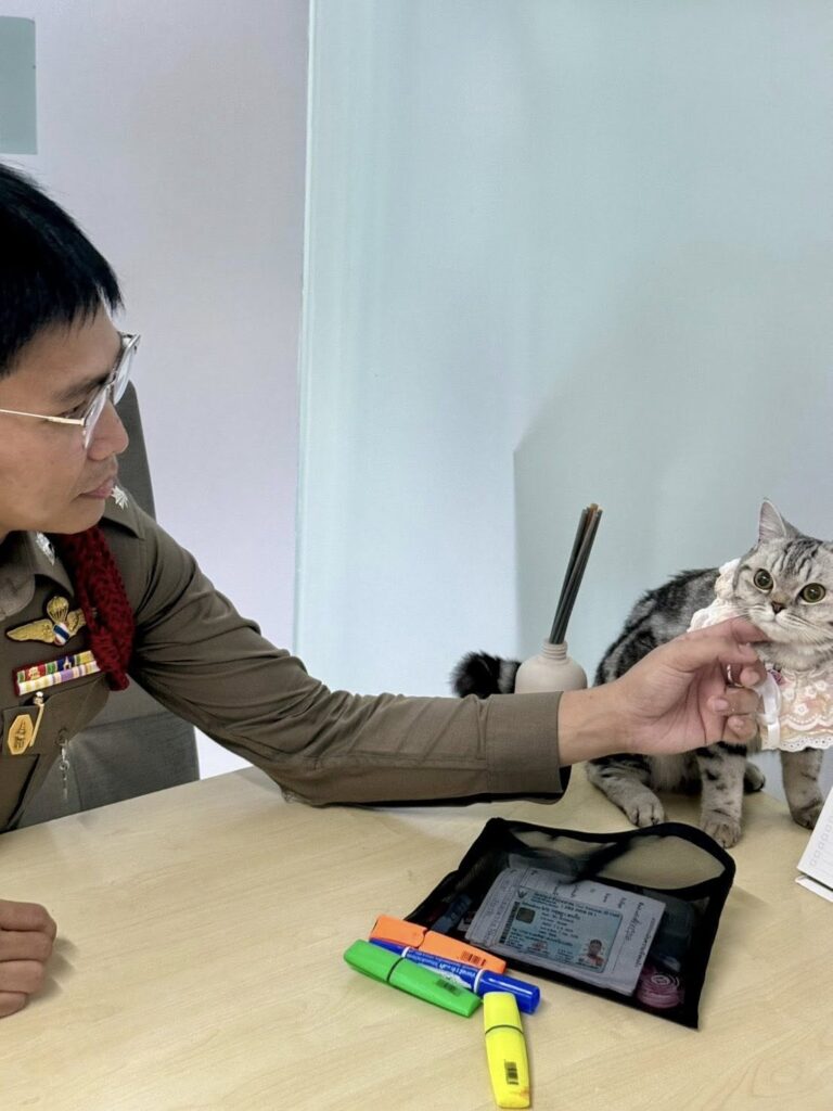 Lieutenant Da Parinda Pakeesuk playing with cat 'arrested'