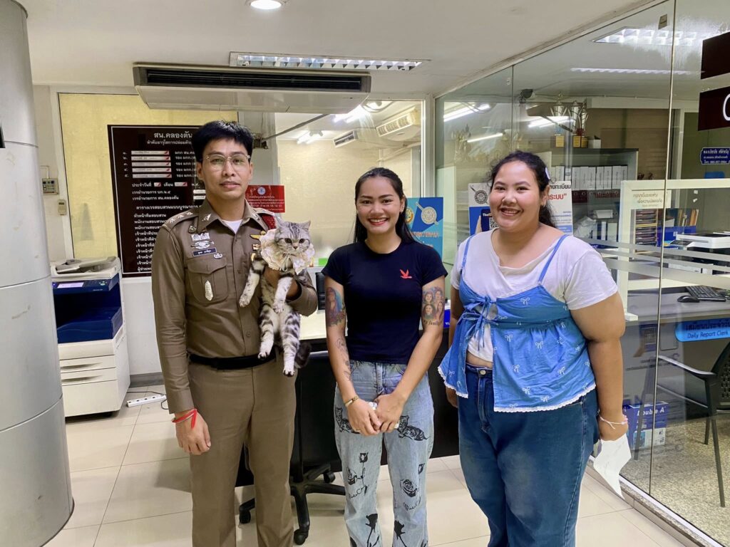 Cat reunited with owners