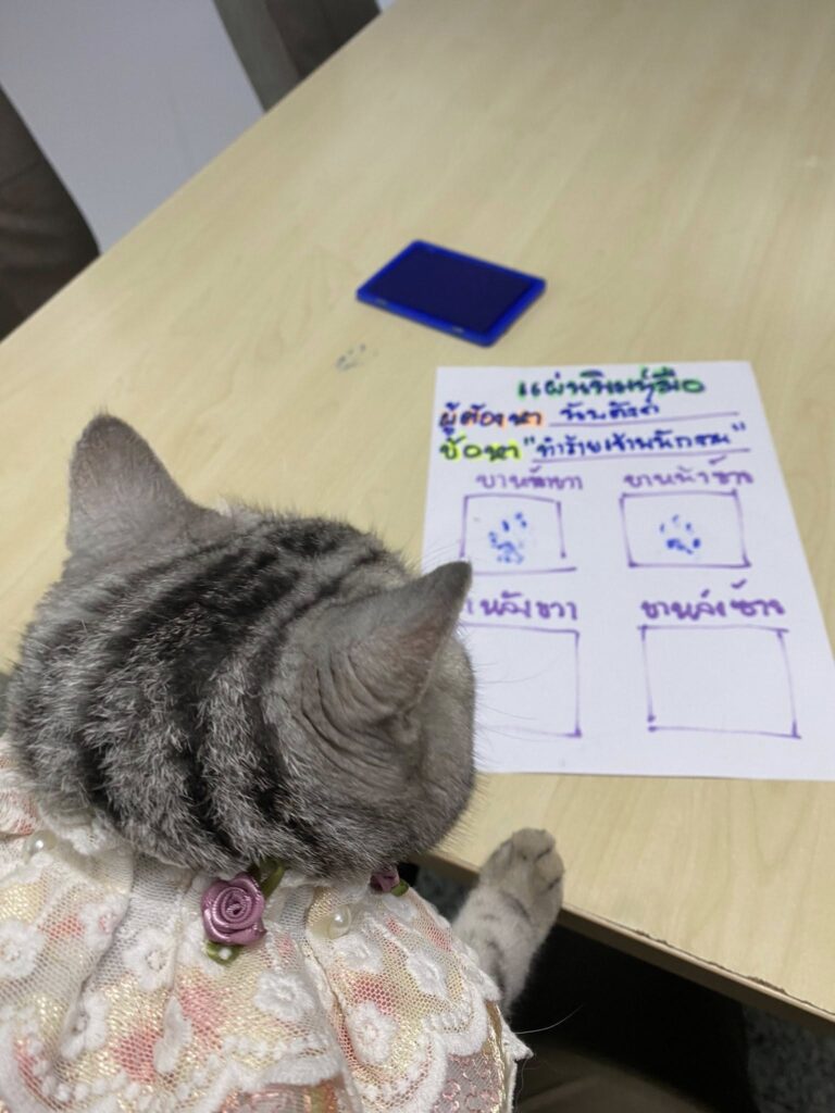 cat 'arrested' with paw-lice report