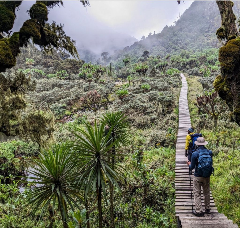Rwenzori Mountains hiking in Uganda