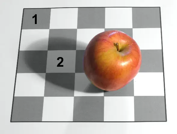 Look closely at square #1 and square #2 on an image.