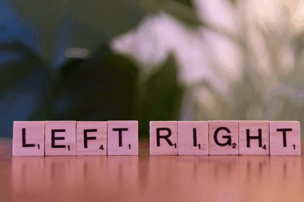 the left-brain/right-brain theory