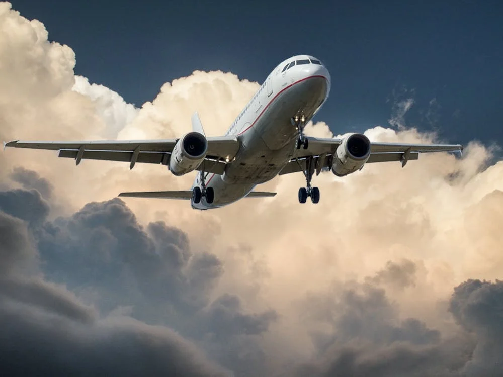 As stories of detentions and deportations circulate, more Australians are pausing to reconsider their US travel plans